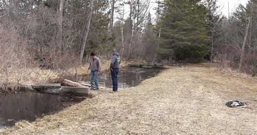 Harrisville Looks to Bring Back Fish Population