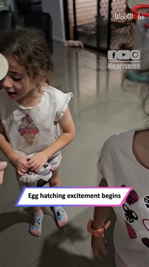 Dad’s “Hatching Egg” Prank Leaves Kids Shocked in the Funniest Way Ever|| Heartsome 💖