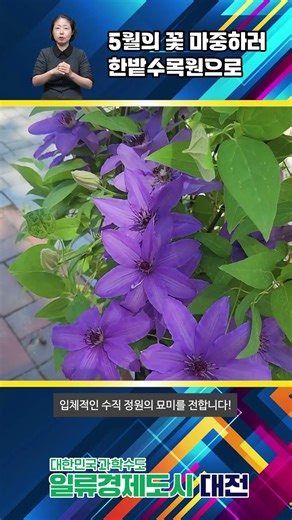 Hanbat Arboretum to Host ‘2026 Spring Flower Exhibition’