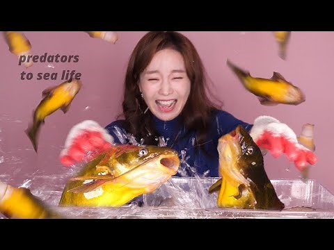 ssoyoung vs her food.