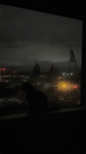 A bit difficult to see, but Butters in our window with the red lights blinking from the Tacoma Narrows Bridge. It’s raining, but I wanted to capture the first night of “it’s officially the holiday season” with the bright HUGE Christmas tree (that looks not great in the video with the rain…). I have heard multiple stories about why this tree 🌲 is decorated in bright, white lights every year, but this year I am going to extend a personal invitation to see how beautiful this tree looks from our ho
