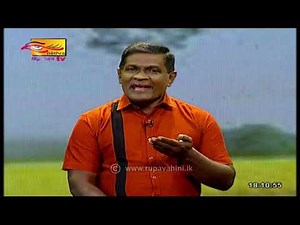 Grade 6 | Dancing | Sinhala medium