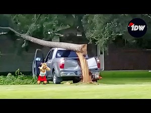 TOTAL IDIOTS AT WORK #623 | Instant Regret Fails Compilation 2025 | When Things Went Wrong