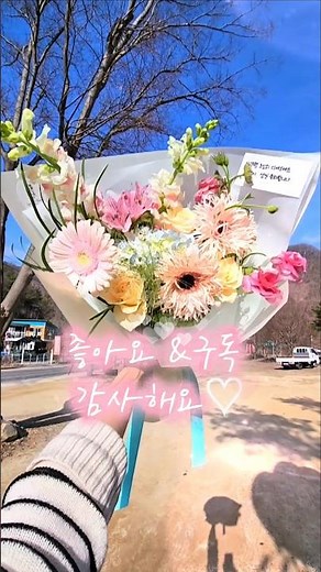 꽃다발 시리즈 꽃구경 힐링 배경화면 불면증 해소 flower healing bouquet_참새꽃집