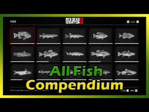 Red Dead Redemption 2 - All Fish Full Compendium 100% Complete Guide