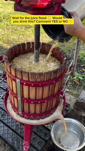 This Old-School Fruit Press Is Insanely Satisfying 😱 Juice Explosion! #shorts #oddlysatisfying #DIY