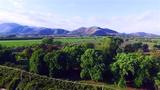 AMANDA - CAPITULO 150