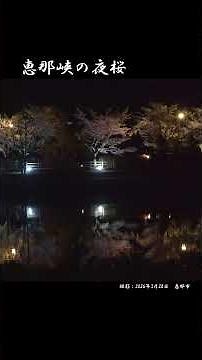 恵那峡の『夜桜』～今年もライトアップされてきれいです！～日没から午後10時にかけてライトアップされています。 #恵那峡 #ライトアップ #すてき恵那 #恵那市 #sakura #夜桜