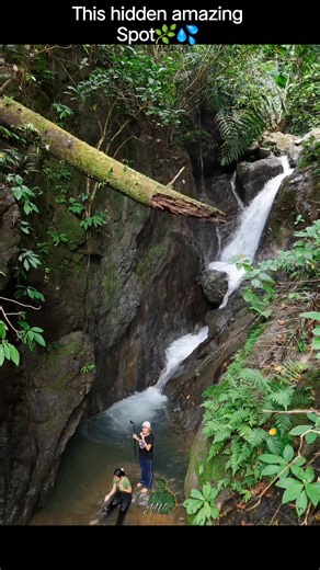 This amazing hidden nature spot🌿 from Mainit, Brookes Point, Palawan💚💚💚🌿 #palawanviews #palawannature #BrookesPointPalawan #SouthernPalawan #amazingpalawan #naturevibes #palawan #palawanphilippines | Jezz World