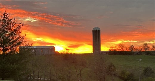 Mug Shot of the Week: Brenda Toy