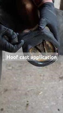 Expert Farrier Reveals Hoof Cast Application Secrets