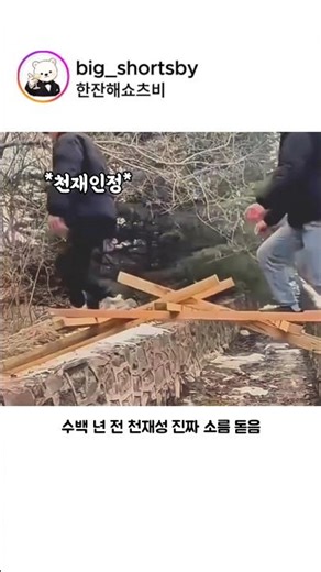 물리력의 지지대로 만든 강력한 다리의 힘
