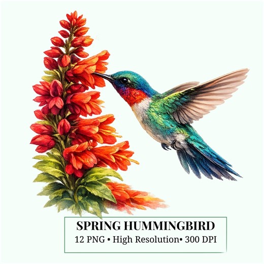 Spring Hummingbird Clipart 12 PNG, Watercolor Floral Bird Bundle, 4096px High Resolution, Transparent Background, Sublimation Design - Etsy