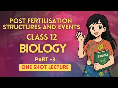 Post fertilisation events in SEED 🌱 Class 12 Biology| Ncert 🌱