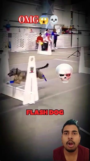 Flash is dog? 😱🗿| #trollface #troll #edit