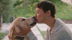 Jinx TV Spot, 'Dog People Get It'