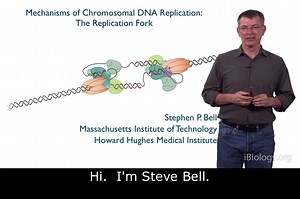 染色体DNA复制机制-1【Mechanisms of Chromosomal DNA Replication】