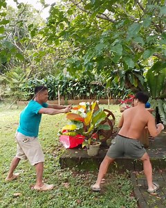 Ninja Kung Fu Training #reelsviral #comedyreels #moreviews #highlighteveryone #fointertainmentpurposesonly | Noy Pakondo