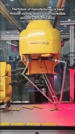 Fastest Robot Sorting System: Precision Pick and Place.