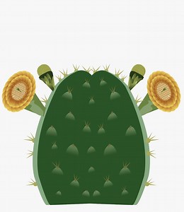Cactus Vector, Clipart, Editable - Etsy UK