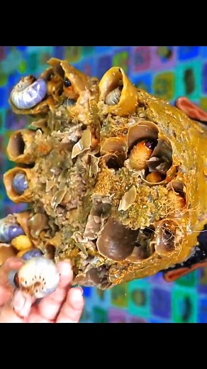 Dandruff cleaning shampoo | Flake The Sathi