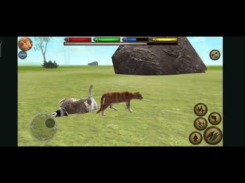 Cat Simulator - Ultimate Cat Simulator - Episode 1 (Silas)