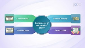 Video: Shareholder's Equity