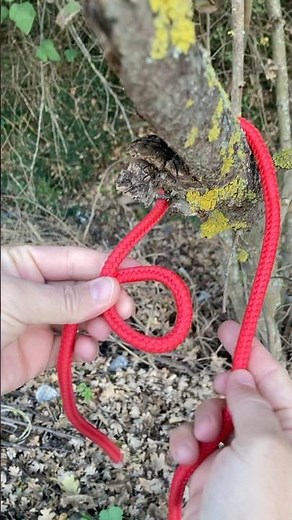 The #1 Knot for Horses: How to Tie a Halter Hitch 🐴 #shorts