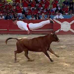 127K views · 1.5K reactions | Connaissez-vous la course landaise, ce sport traditionnel gascon où les toreros sautent au-dessus de l'animal ? On vous explique. 露‍♀️ | Neo | Facebook