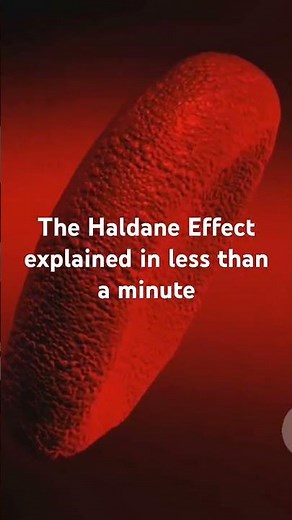 The Haldane Effect: Explained in less than a minute #anesthesia #haldane #haldaneeffect #medicine