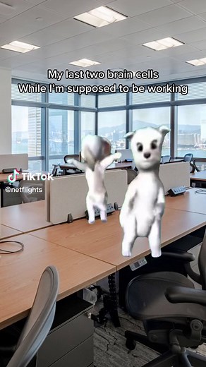 Dancing Dogs Meme Compilation