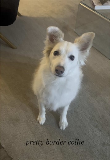 baileycolly on TikTok