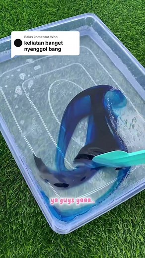 Membalas @Who zharif itu siapaa..😭#potatosbuka #tiktokshopbuka