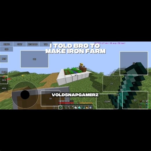 I told bro To make iron farm but bro 😐