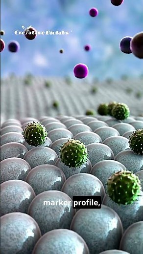 Your Macrophage Model May Change More Than You Think