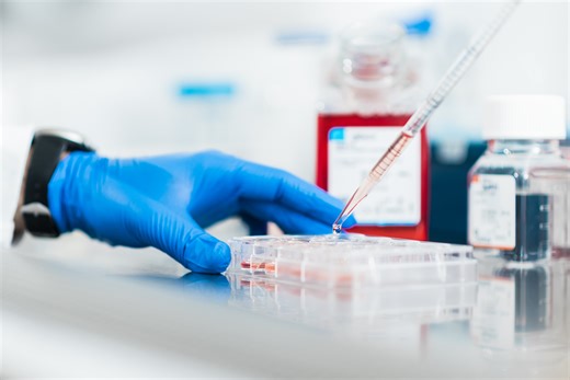 Biomedical Sciences degree