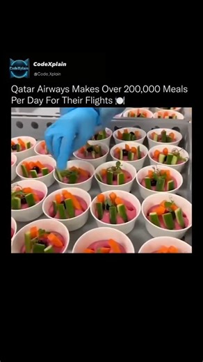 CodeXplain on Instagram: "What looks like a factory is actually one of the most advanced airline kitchens on Earth. Qatar Airways opened the doors to its in-house catering operation, where thousands of its own chefs and kitchen staff prepare more than 200,000 meals every single day for flights across the globe. Inside the Qatar Aircraft Catering Company facility, teams work around the clock to ensure every dish, from freshly grilled entrées to hand-plated desserts meet the airline’s five-star st