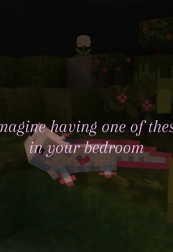 Cute Axolotls in Minecraft: A Dream Room Addition