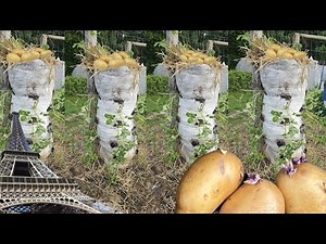 BRAMBOROVÁ VĚŽ , jak to je správně