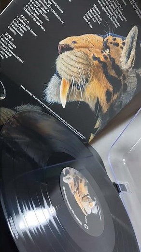 Walking with Beasts & Walking with Dinosaurs complete original TV soundtracks-25th Anniversary vinyl