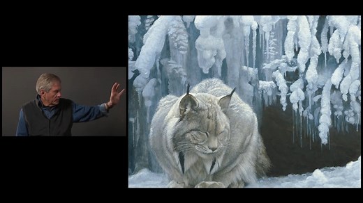 Robert Bateman discusses his painting, "Dozing Lynx" #WildlifeArt | Robert Bateman