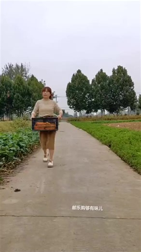 Explore the Magic of Smart Tech with BalliBot