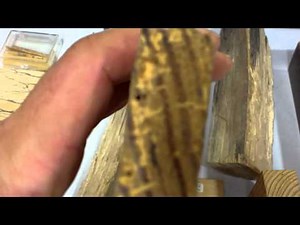 Charlotte Home Inspector Explains Powder Post Beetles