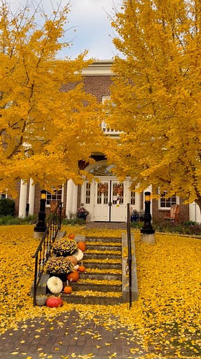 7.7K views · 148 reactions | A beautiful fall day at the library!  Thank you to the sweet patron who captured this video! | Fayetteville-Lincoln County Public Library | Facebook