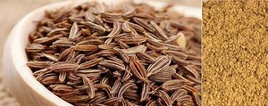 Cumin Seeds & Powder - Kinal Global Care Private Limited