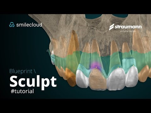 Blueprint - Sculpt Controls