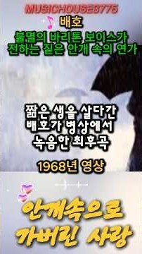 [불멸의 바리톤 보이스가 전하는 짙은 안개 속의 연가] 배호 - 안개 속으로 가버린 사랑 | 가슴을 적시는 불멸의 추억 송 (Shorts)
