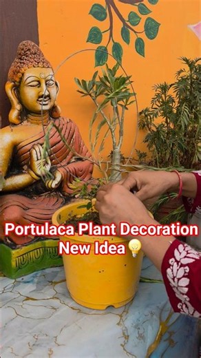 Portulaca plant decoration ideas#shorts#portulacaplantdecoration#gardening