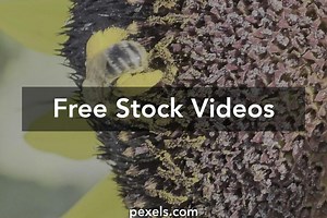 4k API Videos, Download The BEST Free 4k Stock Video Footage & 4k API HD Video Clips