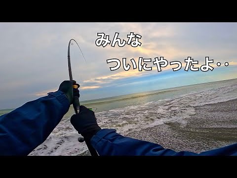 ついに‥追い求め続けた砂浜の巨大魚を釣り上げた！【2024砂浜の怪魚編・後編】
